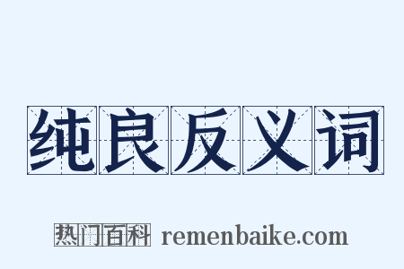纯良反义词是什么意思的图片